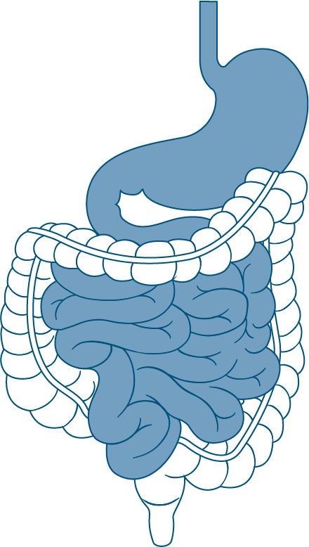 Upper GI tract